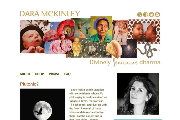 daramckinley.com site used Volver