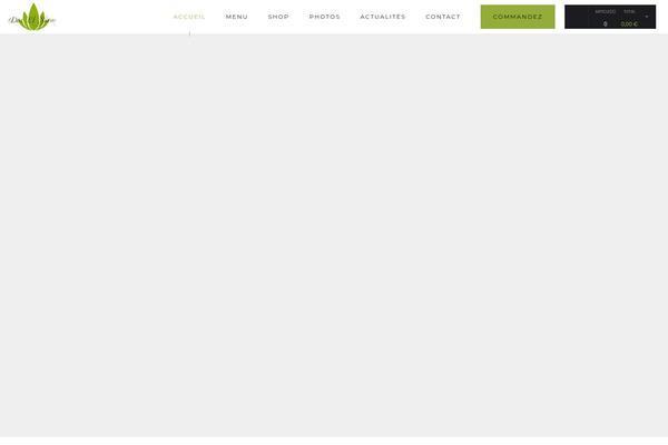 Site using Hogash-mailchimp plugin
