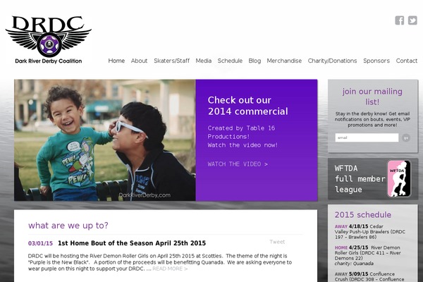 drdc theme websites examples