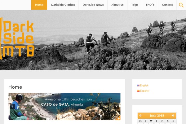 Radiate theme site design template sample