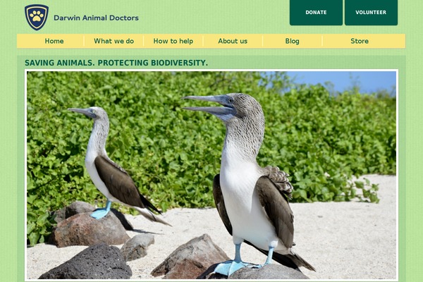 darwinanimaldoctors.org site used Piggytale