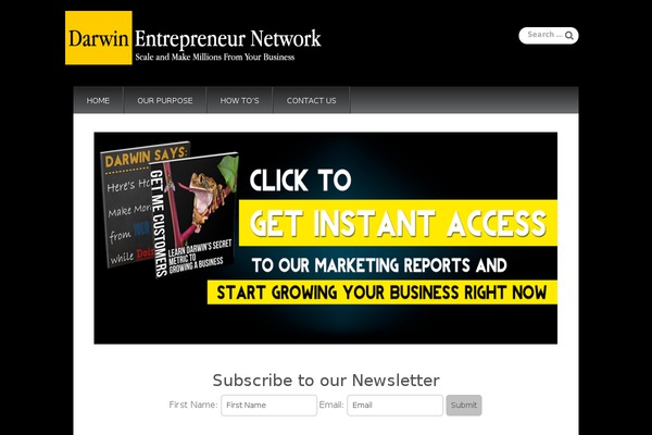 Snowblind theme site design template sample