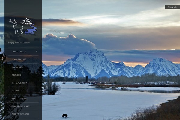 Widescreen theme site design template sample