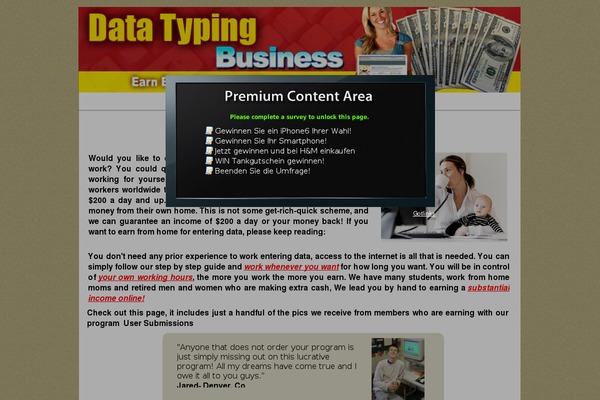 data-typing-business.com site used Twenty Fourteen