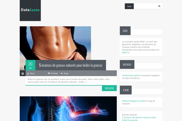 Felius theme site design template sample