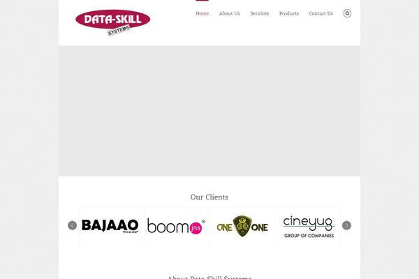 dataskillsystems.com site used Dataskills