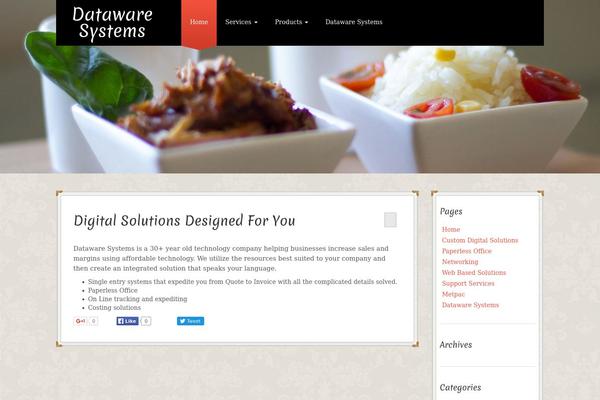 datawaresystems.com site used Enliven-pro