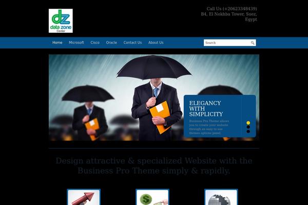 Business Pro theme site design template sample