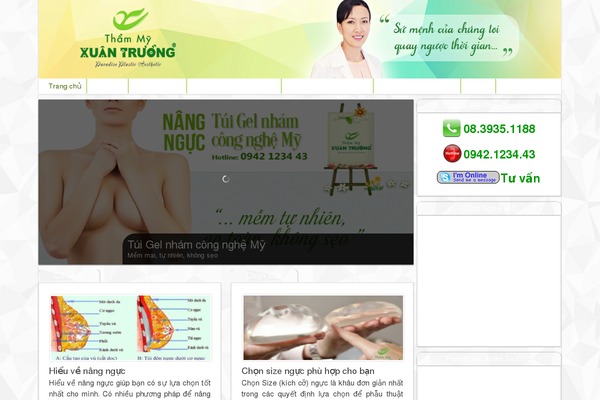 ThamMyXuanTruong theme websites examples