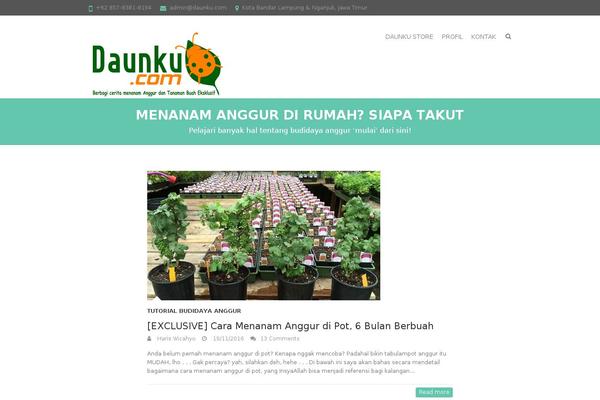 daunku.com site used Interface