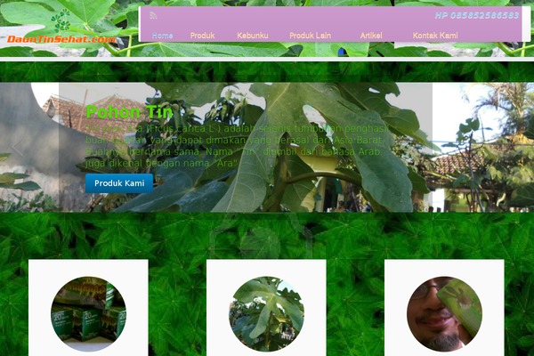 Customizr theme site design template sample