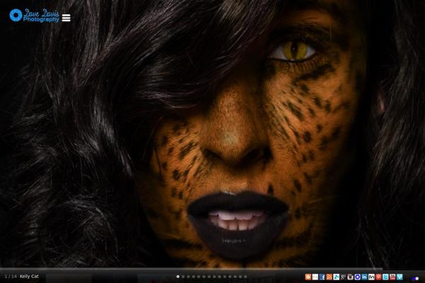 davedavisphotography.com site used Profolio