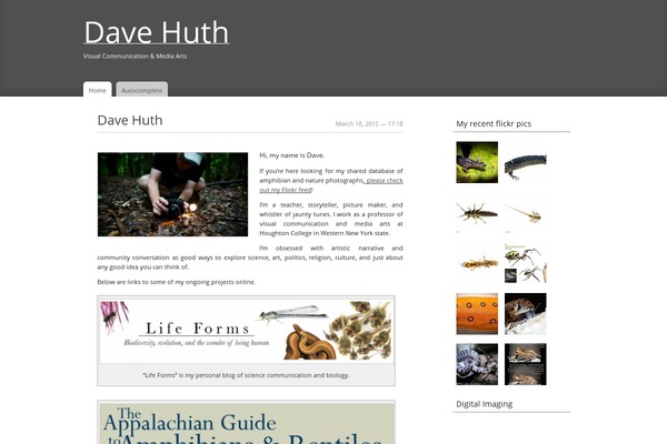 Snc-mono theme site design template sample