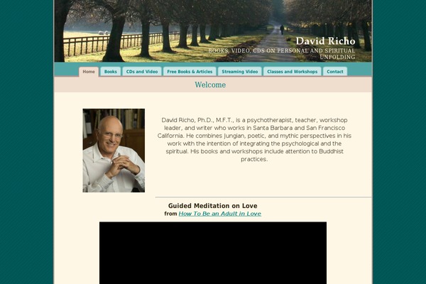 davericho.com site used Twentytwelve-child1