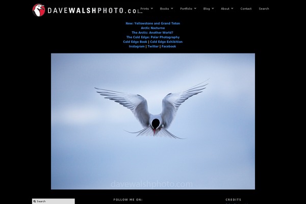 Modularity theme site design template sample