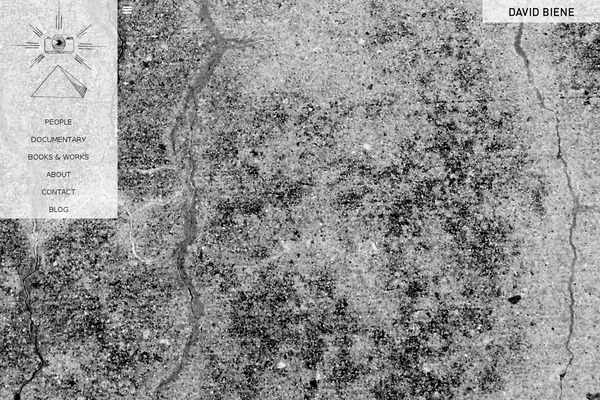 david-biene.de site used David