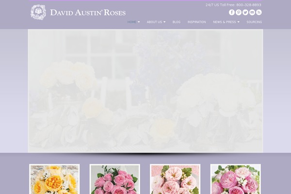CStar Design theme site design template sample