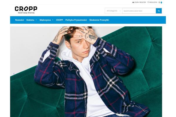 davidcaseydiversity.com site used StoreVilla