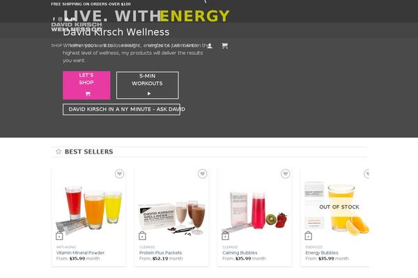 davidkirsch-2014 theme websites examples