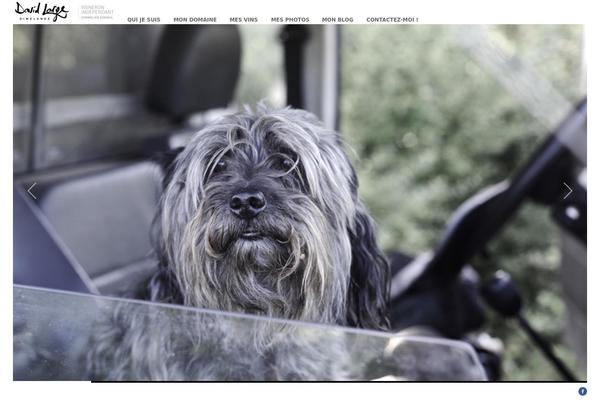 Artemis theme site design template sample
