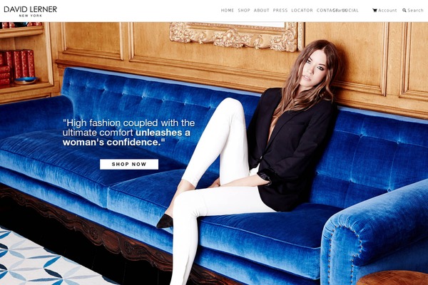 907 (NineZeroSeven) theme site design template sample