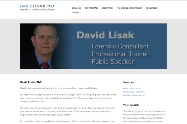 Performs theme site design template sample