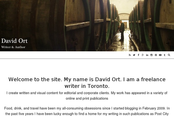 WP-Prosperity theme site design template sample