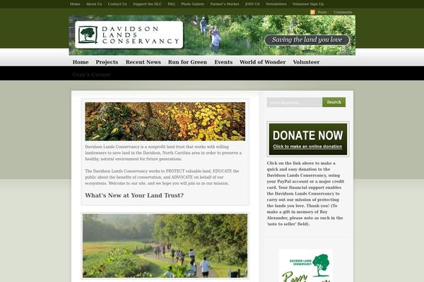 Busy Bee theme site design template sample