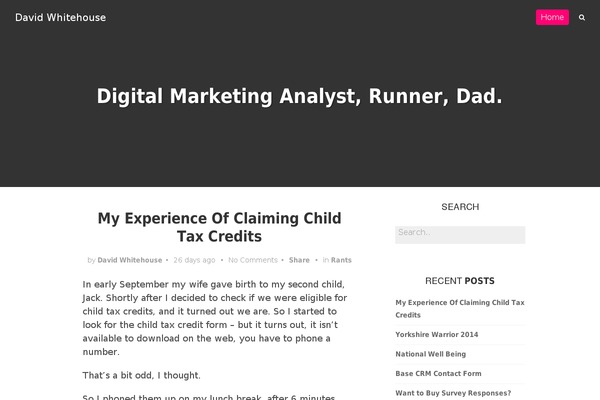 Nano theme site design template sample