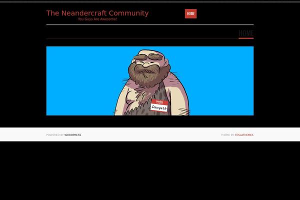 Tesla theme site design template sample