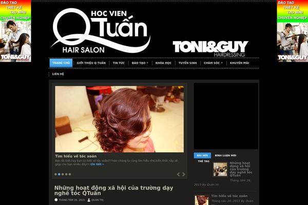 Videozone theme site design template sample