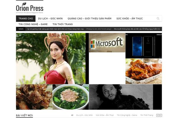 Orion theme site design template sample