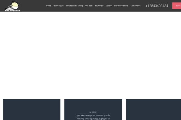 daytripsbvi.com site used Surfy-child