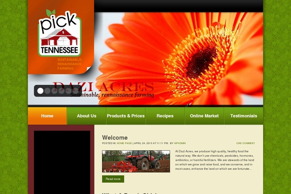 Theme1271 theme site design template sample