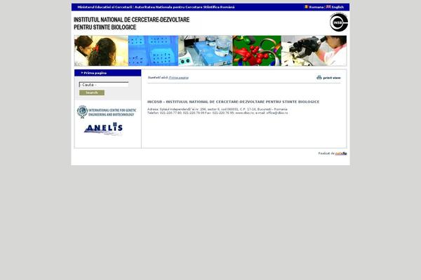 Wilson theme site design template sample