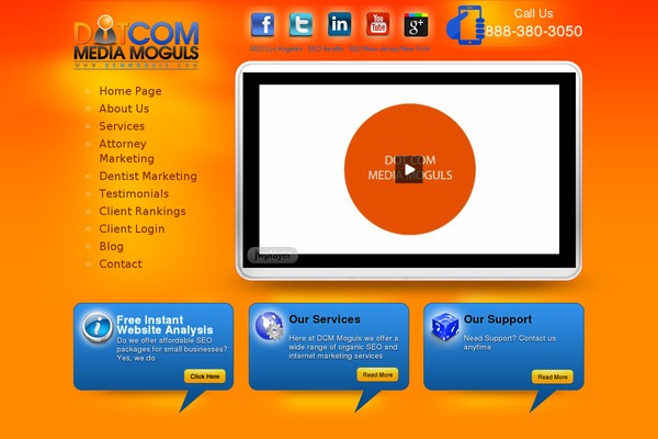 dcmmoguls2014 theme websites examples