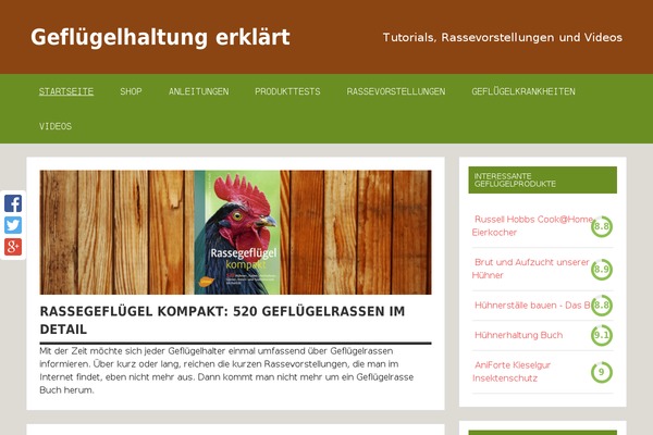 Dynamic News Lite theme site design template sample