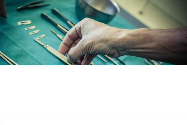 Divi theme site design template sample