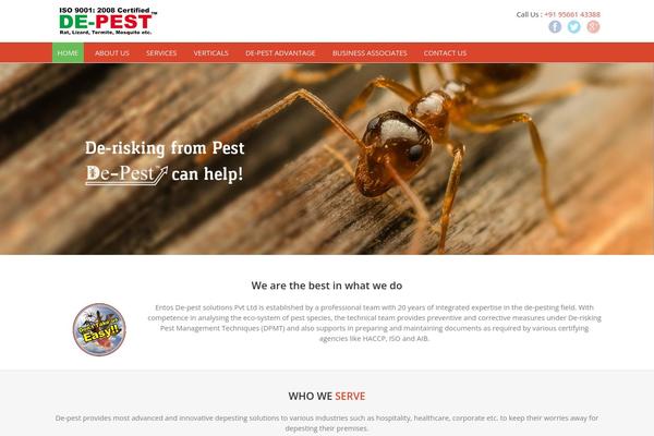 de-pest.com site used Pixel