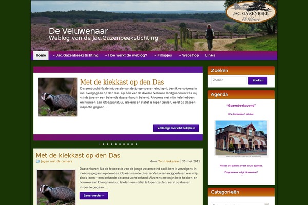 Site using Advanced Random Posts Widget plugin