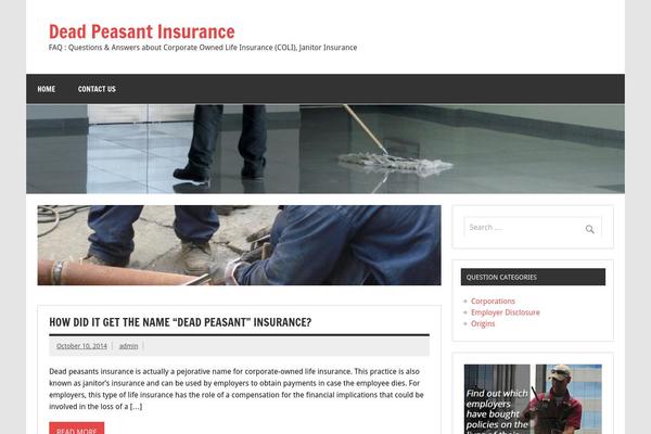 Dynamic News Lite theme site design template sample