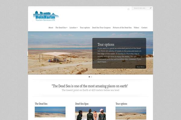 Chameleon theme site design template sample