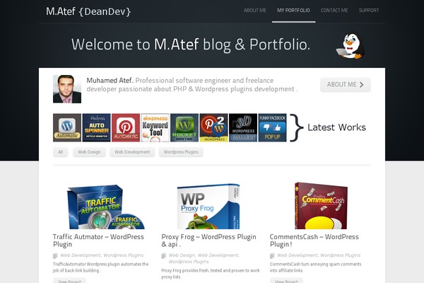 Touchsense theme site design template sample