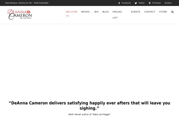 Salbii theme site design template sample