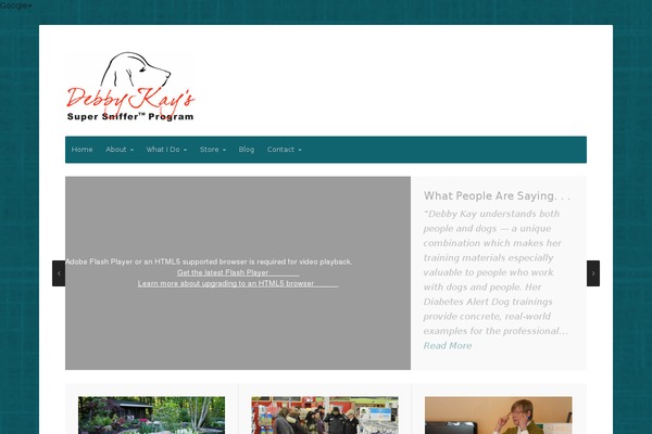 Seed theme site design template sample
