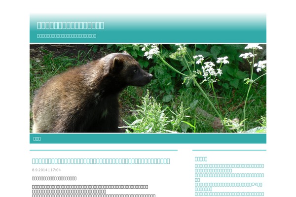 deben10.com site used Yume