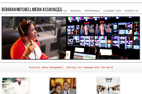 WP Opulus theme site design template sample