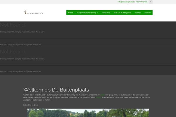 Metrolium theme site design template sample