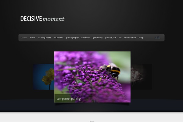 Envisioned theme site design template sample
