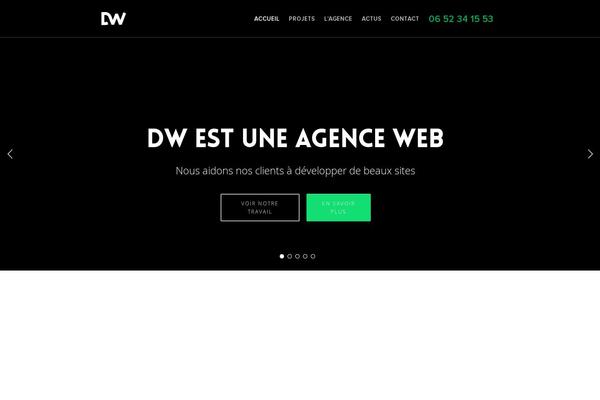 Salient theme site design template sample